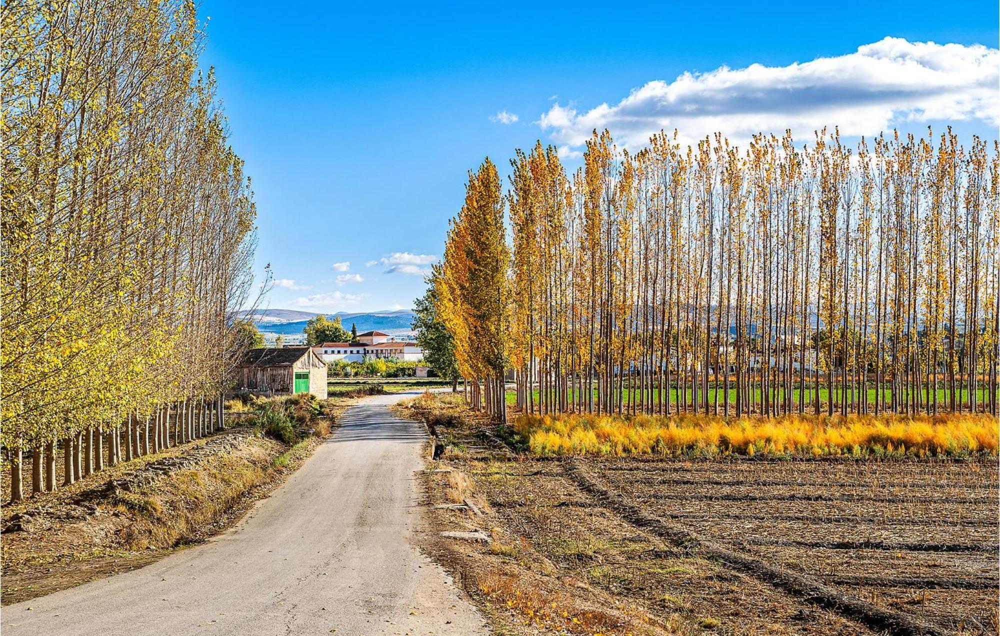 Stunning Air Conditioned House Cijuela Екстер'єр фото
